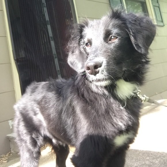 Meet your Posher, Candice - Picture 2 of 3